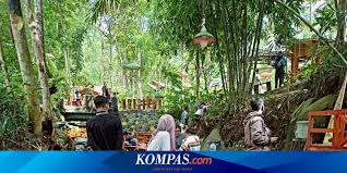 We did not find results for: Rute Dan Harga Tiket Masuk Wana Wisata Sumber Biru Jombang Halaman All Kompas Com