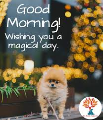 Good Morning Pets Animals Petsofinstagram Drruthruberts Thecrockpetdiet Petfood Diet Health Wellness Compliment Animal Quotes Pets Food Animals