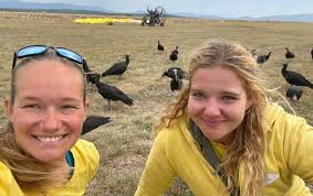 Scientists Fly With Nearly Extinct Birds to Help Them Migrate