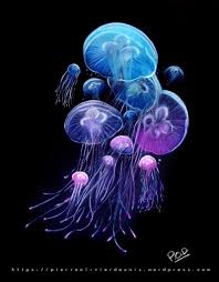 Epingle Sur Photos Sous Marines