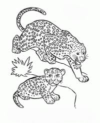 36 Leopard Zum Ausmalen Besten Bilder Von Ausmalbilder