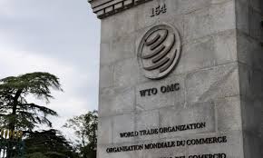 The world trade organization (wto) is an intergovernmental organization that regulates and facilitates international trade between nations. Wto Without Us That Might Not Be A Bad Thing Say Chinese Experts Global Times