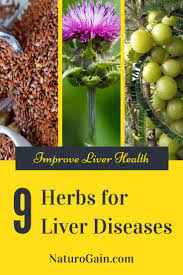 9 Powerful Herbs For Liver Diseases Treat Liver Problems Healthy Liver Natural Liver Detox Herbal Remedies