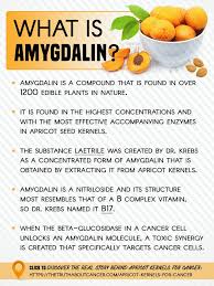 Amygdaline compounds are a natural therapy has been well studied for over 100 years. Laetrile Vitamin B17 Or Amygdalin Steemit
