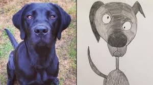 Be it as a treat for yourself or a gift for someone special, you can be sure i will do my very best to create the perfect pet portrait for you or your loved. Man S Crap Pet Portraits Raise Thousands For Charity Cnn