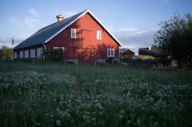 These organic baskets arrive in a range of various styles, some have handles, and a few have lids, all arrive in numerous colors. 9 Timeless Types Of Barns And Barn Styles Sheaffer Construction
