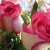 Every day new pictures and just beautiful wallpaper for your desktop nature completely free. 1