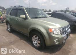 Image result for Kiwi Green 2009 Escape