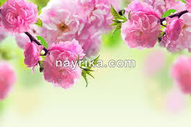 اذان ظهر به وقت تهران. Ø±ÙˆØ² Ø²Ù† Û¹Û¹ ØªØ§Ø±ÛŒØ® Ø±ÙˆØ² Ø²Ù† Ø³Ø§Ù„ Û¹Û¹ Ø±ÙˆØ² Ø²Ù† Ø¯Ø± Ø³Ø§Ù„ Û±Û³Û¹Û¹ Ù…ØªÙ† ØªØ¨Ø±ÛŒÚ© Ø±ÙˆØ² Ø²Ù† Ù†Ø§ÛŒØ±ÛŒÚ©Ø§