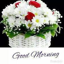 When you're feeling blue or things are a little flat…. Sending These Flowers To Brighten Your Morning Hope You Like It Good Morning Picture Good Morning Greetings Morning Greeting