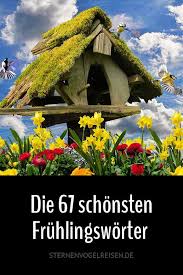 67 bluhende fruhlingsworter die schonsten worte mit fruhling fruhlingsworte schone deutsche worter fruhling zitate