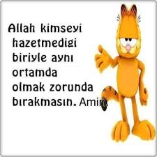 Kedi Uzanamadigi Cigere Mundar Der Photos Facebook