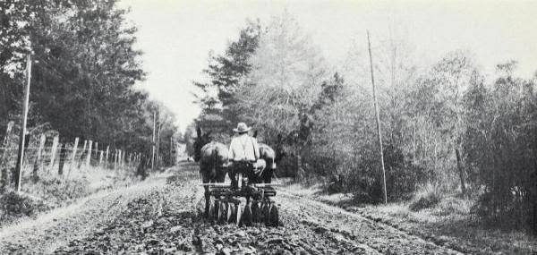The Dirt Roads of Rural America | National Agricultural Library