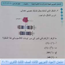 يتقدم الآلاف من الطلبة والطالبات لأداء امتحان الأحياء 2021 الثانوية العامة وسط العديد من الإجراءات الاحترازية المقررة من وزارة الصحة، ولقد استمرت اللجنة الامتحانية الامتحان. Ø§Ù…ØªØ­Ø§Ù† Ø§Ù„Ø§Ø­ÙŠØ§Ø¡ Ø§Ù„ØªØ¬Ø±ÙŠØ¨Ù‰ Ø§Ù„Ø«Ø§Ù„Ø« Ø§Ù„ØµÙ Ø§Ù„Ø«Ø§Ù„Ø« Ø§Ù„Ø«Ø§Ù†ÙˆÙ‰ 2021