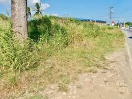 Hop on and hop off at all the attractions! Freeman Road St Augustine Highway Side My Bunch Of Keys