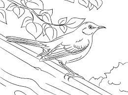 When it gets too hot to play outside, these summer printables of beaches, fish, flowers, and more will keep kids entertained. Drawing Northern Mockingbird Coloring Pages Color Luna