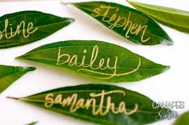 We offer 3 x 3 and 4 1/2 x 2 1/2 inch place cards. Easy Leaf Place Cards Canapes And Soirees Place Cards Wedding Crafts Diy Cards