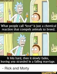 It hits hard, morty, then it slowly fades, leaving you stranded in a failing marriage. What People Call Love Is Just A Chemical Woe It Hits Hard Then It Slowly Fades Leaving You Stranded In A Failing Marriage Rick And Morty Ifunny Rick And