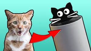 لن تتخيل ماذا فعلت بالمواسير افكار ابداعية تجنن لعشاق القطط cat diy cat feeder cats