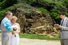 You can apply your creative ideas to absolutely any. Non Religious Wedding Ceremony Script