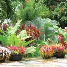 12 Ideas From The New Sunset Western Garden Book Tropical Garden Design Tropical Landscaping Tropical Garden