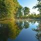 National Trails Day: Beaver Tree Trail Stewardship