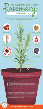 Two of the many purported benefits that rosemary oil can provide are stimulating hair growth and mitigating hair loss. Rosemary Essential Oils And Its Benefits Everything You Need To Know