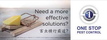 Home pest offers termite control and termite damage coverage as a part of multiple full home packages to ensure that you get the best protection for your there are about 2,000 known species of termites worldwide causing damage every day. One Stop Pest Control Home Facebook