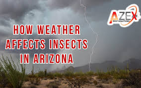 ︎ granite mountain pest & termite control. Blog Page 2 Of 12 Azex Pest Solutions