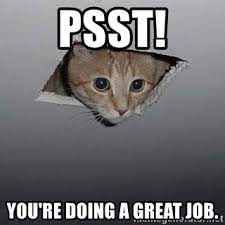 Memes are interesting or amusing pictures, videos, or an internet meme is a unique form of media that's spread quickly online, typically vi. Psst You Re Doing A Great Job Ceiling Cat Meme Generator