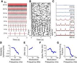 *redner* andré poggenburg (mdl) kevin strenzke stefanie van laak michael diendorf eric graziani dominik roeseler rené abel. Neural Spike Timing Patterns Vary With Sound Shape And Periodicity In Three Auditory Cortical Fields Journal Of Neurophysiology