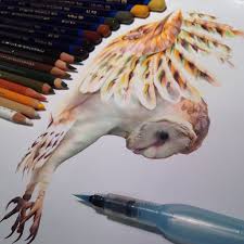 In this video i give you my tips for drawing realistic animals using colored pencil. Realistic Animal Drawings Surrounded By The Tools Used To Create Them Bored Panda