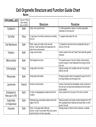 A single cell is able to keep itself functional through its 'miniature machines' known as organelles. Cell Organelles And Their Functions Chart Fill Online Printable Fillable Blank Pdffiller