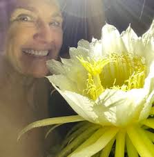 Heliconia caribaea x bihai 'Honey Bee'