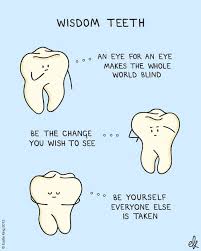 Quotes About Losing A Tooth 20 Quotes