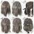 Short Hair Medieval Fantasy Short Hair Medieval Hairstyles