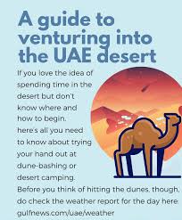 Camels for adoption in uae , check the website now to see more ads. Avoiding Crowded Places The Uae S Deserts Might Be The Perfect Answer This Weekend Living Ask Us Gulf News