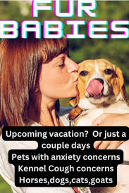 Pet care services for traveling owners