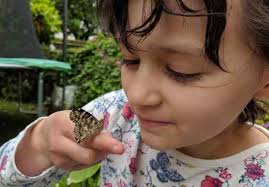 About Me Kids of the Wild