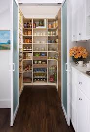 Traditional Pantry With High Ceiling Hardwood Floors Off White 3 Lite Frosted Glass Pivot Inte Kitchen Storage Solutions Extra Kitchen Storage Simple Kitchen