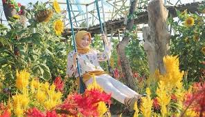 Tanaman bunga cantik yang satu ini ternyata juga memiliki banyak manfaat bagi kesehatan tubuh. 10 Cantiknya Taman Bunga Resoinangun Di Bantul Keindahan Surgawi