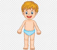 Cuerpo Humano Fotografia De Stock Figura Humana Nino Cara Mano Png Pngwing