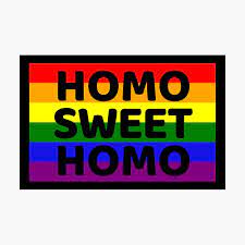 Funny Homo Sweet Homo Pun in a Rainbow Flag Gay Pride Poster for Sale by  Elvin Dantes | Redbubble
