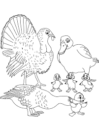 Short stories for kids coloring book. Coloring Pages The Ugly Duckling Page 5