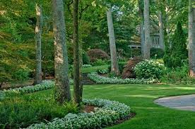 Choosing the correct shrub for your landscape. Shade Garden Design Ideas How To Choose The Right Plants