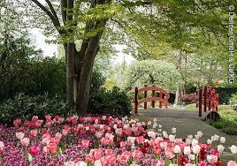 Dehner Blumenpark Parks Garten Infopoint