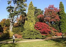 Louise hardwick garden design is a bespoke, professional garden design service working in derbyshire and the surrounding counties. Arboretum Wikipedia
