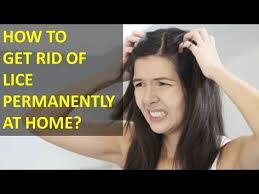 How To Get Rid Of Lice Permanently At Home Lice Eggs Head Louse Louse