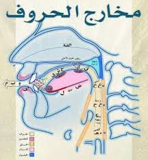 pin by wafaamady on fulla learn arabic online learn arabic language learn arabic alphabet
