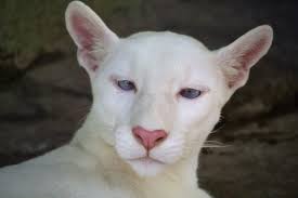 Nicas Mochileros added a new photo.